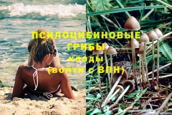 ГАЛЛЮЦИНОГЕННЫЕ ГРИБЫ Абдулино