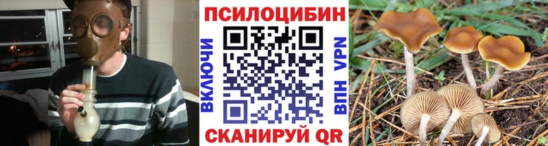 Псилоцибиновые грибы Magic Shrooms  Инза 